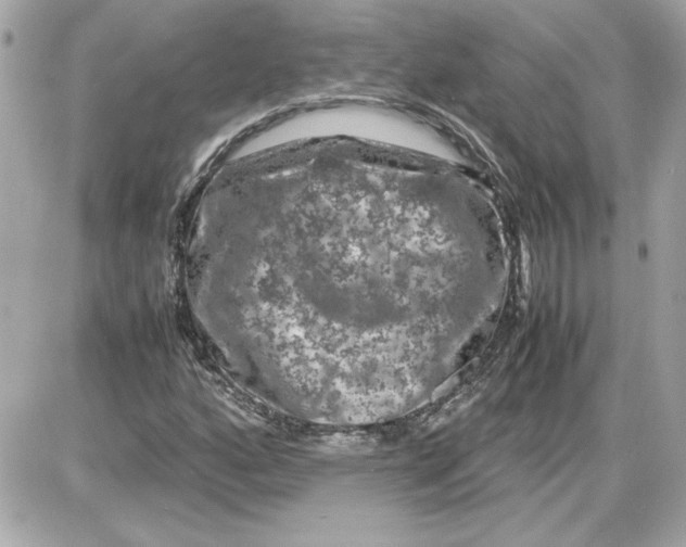 X0000087421160200705111909