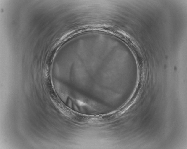 X0000087421161200705111909