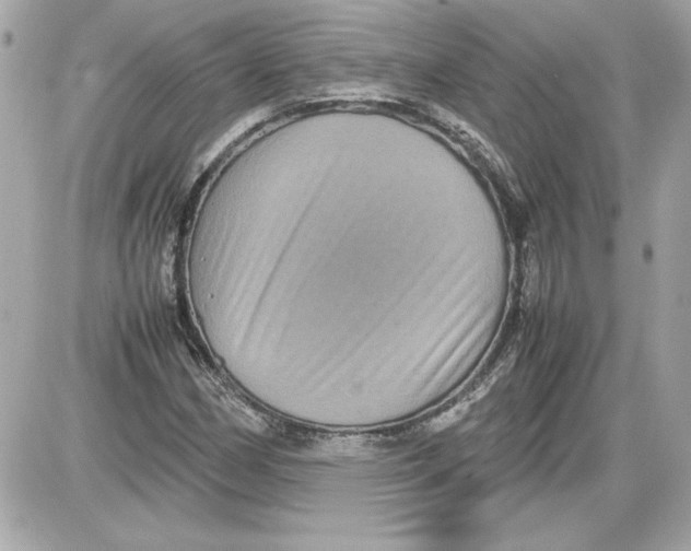 X0000087421162200705111909