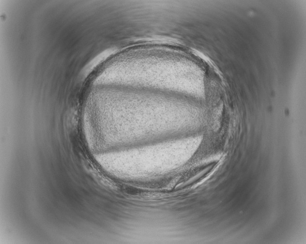 X0000087421163200705111909