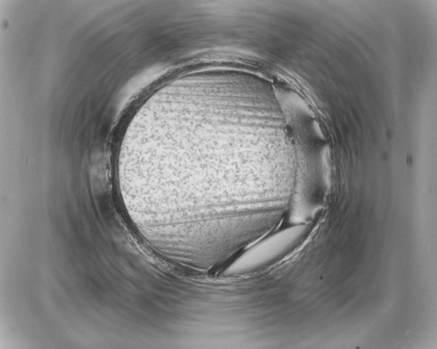 X0000087421164200705111909