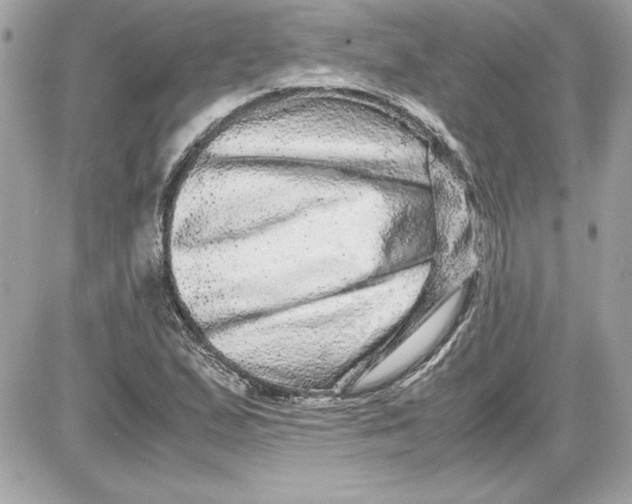 X0000087421167200705111909