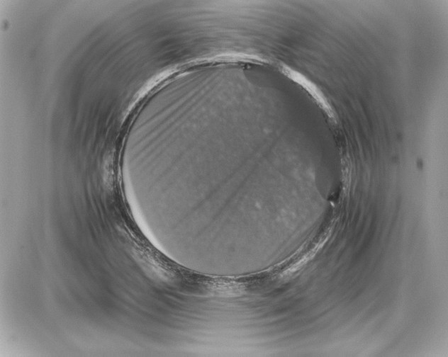 X0000087421170200705111909