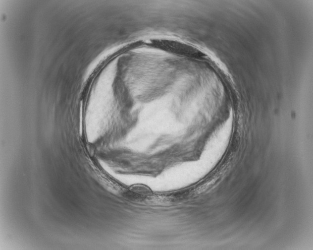 X0000087421175200705111909