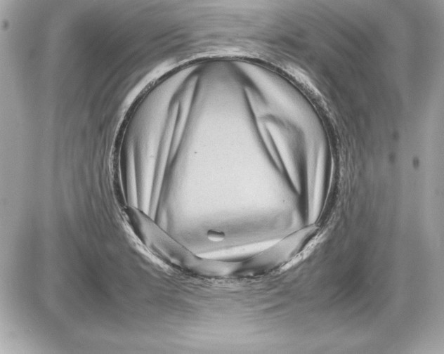 X0000087421181200705111909