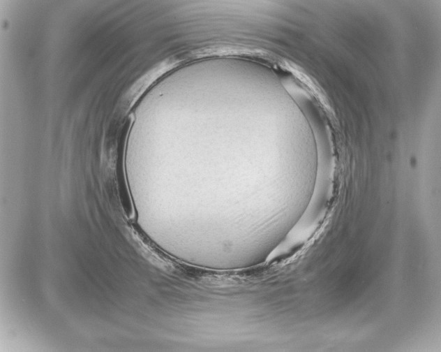 X0000087421185200705111908