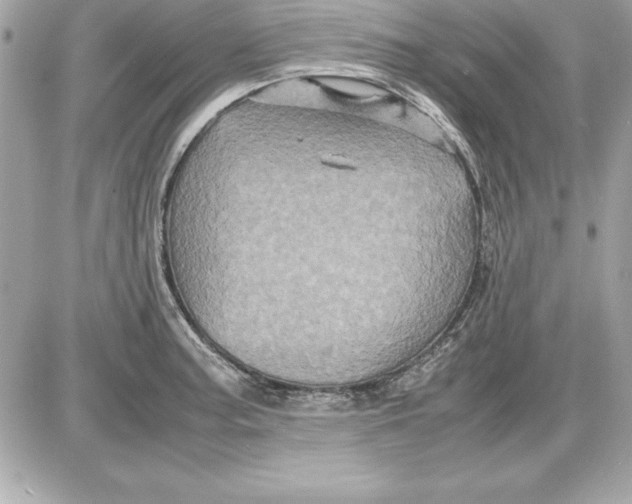 X0000087421187200705111908