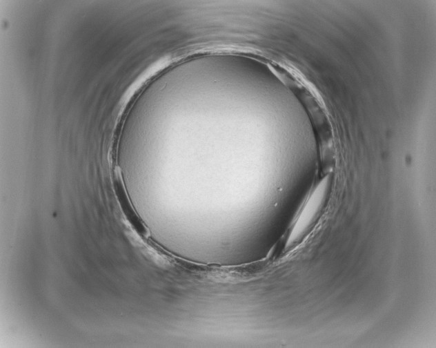 X0000087421189200705111908