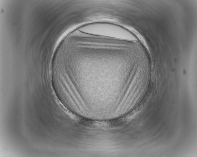 X0000087421191200705111908