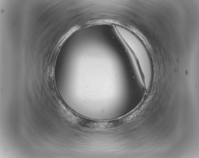 X0000087421193200705111908