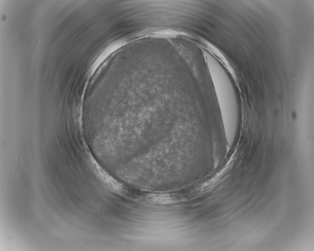 X0000087421194200705111908