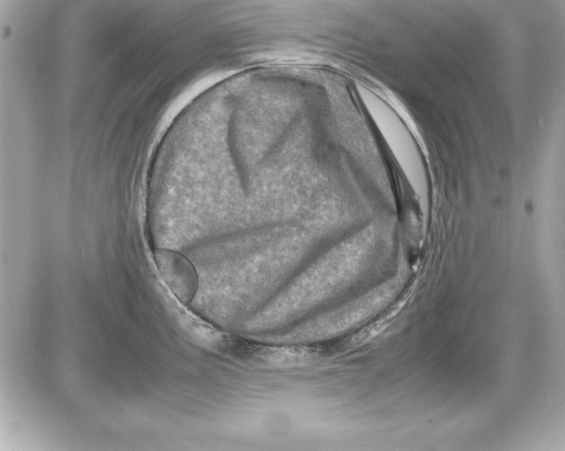 X0000087421195200705111908