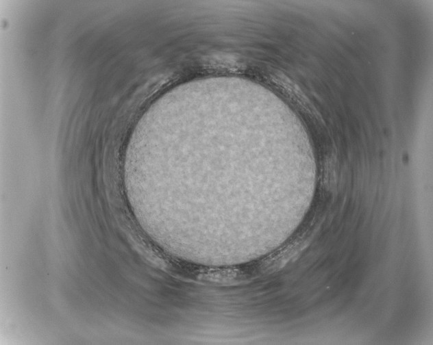 X0000087421201200705111907
