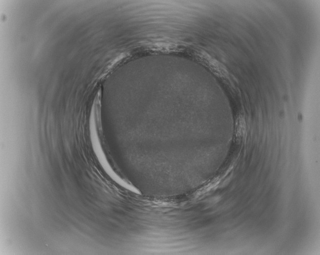 X0000087421202200705111907