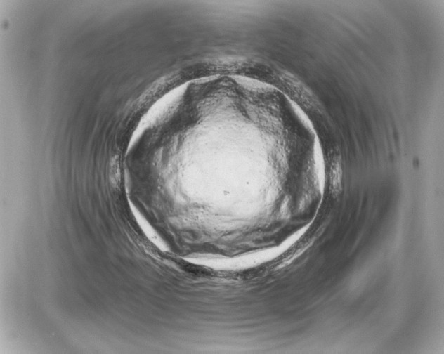 X0000087421204200705111908