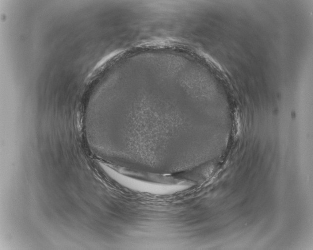 X0000087421206200705111908