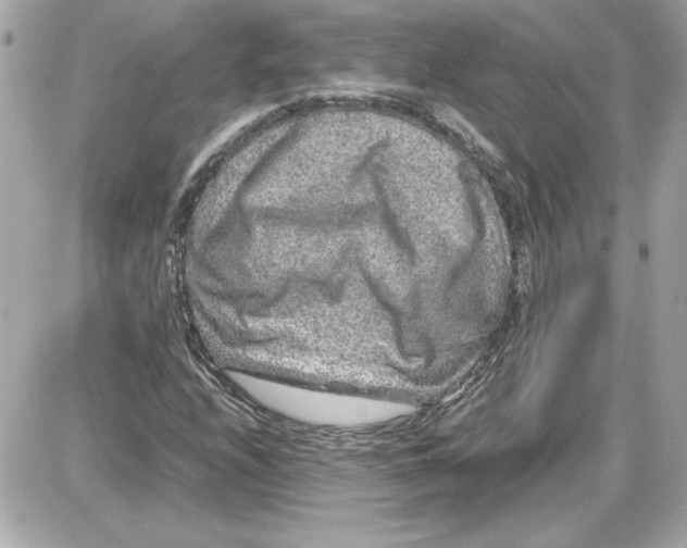 X0000087421208200705111908