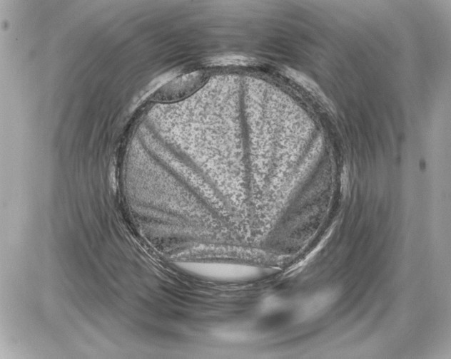 X0000087421209200705111908