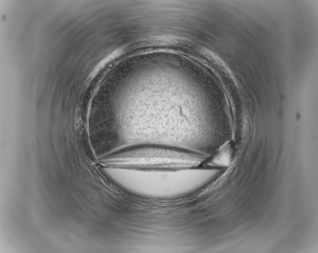 X0000087421210200705111908