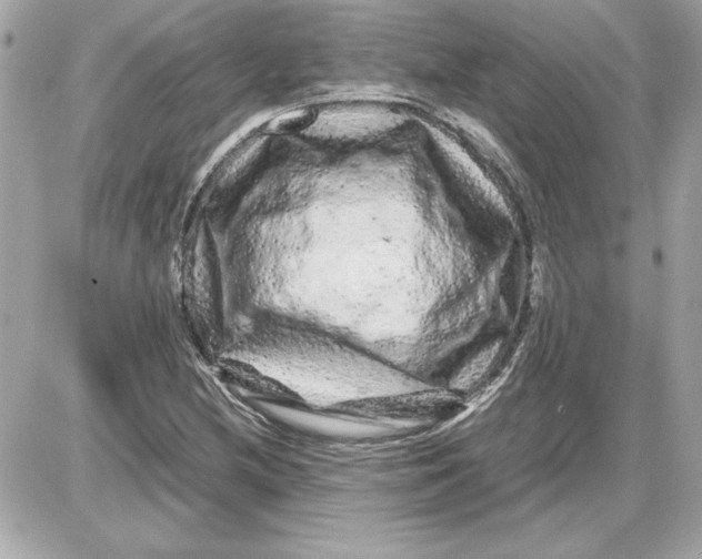 X0000087421212200705111908