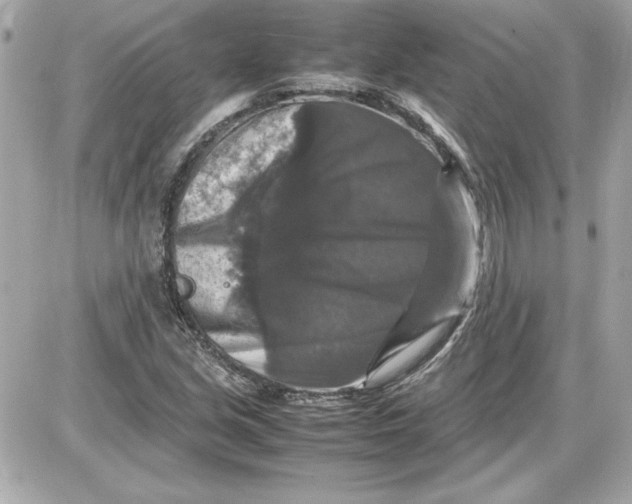 X0000087421213200705111908