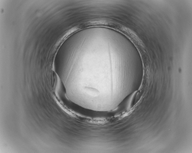 X0000087421225200705111908