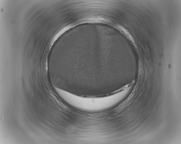 X0000087421226200705111908