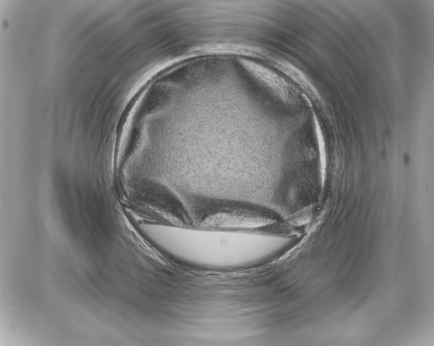 X0000087421228200705111908