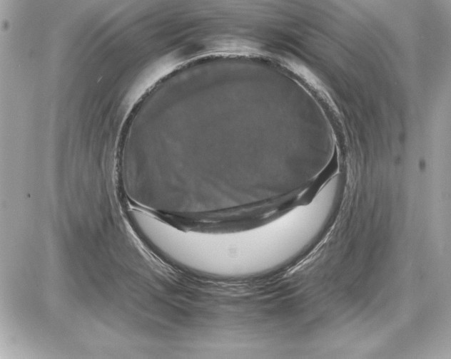 X0000087421229200705111908