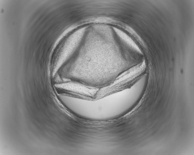X0000087421232200705111908
