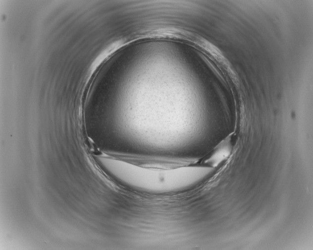 X0000087421234200705111908