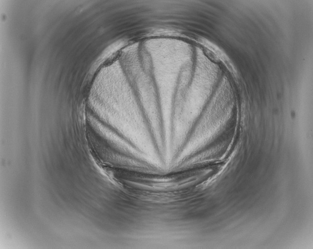 X0000087421241200705111908