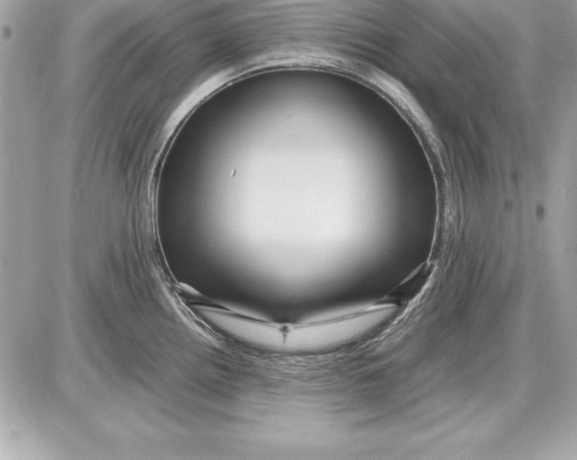 X0000087421242200705111908