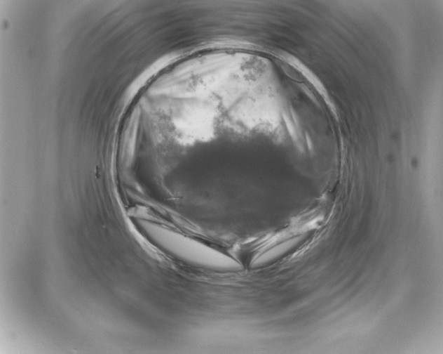X0000087421245200705111908