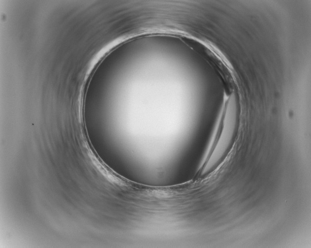 X0000087421246200705111908