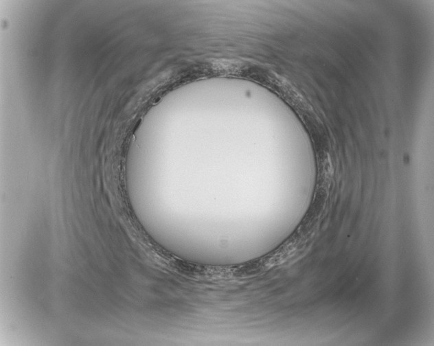 X0000087421249200705111907