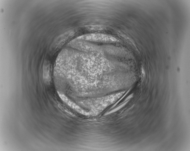 X0000087421250200705111907