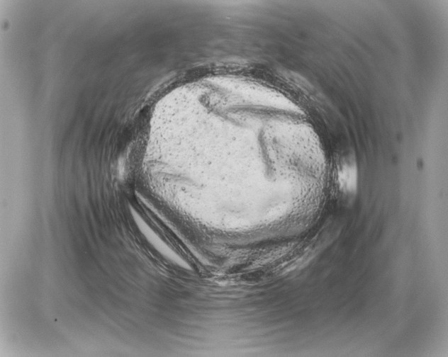 X0000087421252200705111907