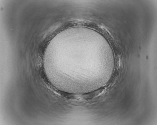 X0000087421253200705111907