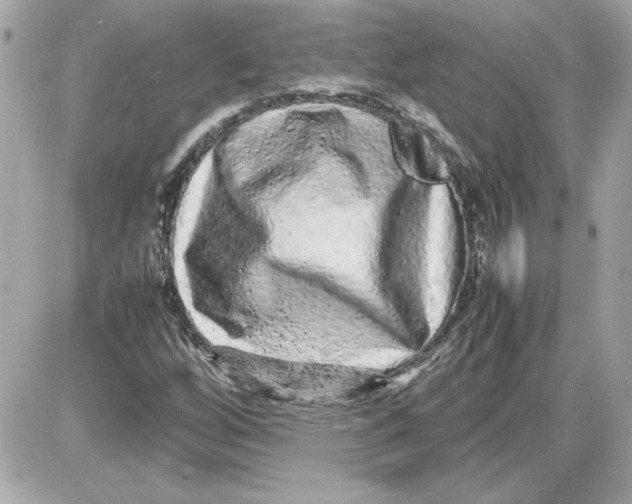X0000087421256200705111907