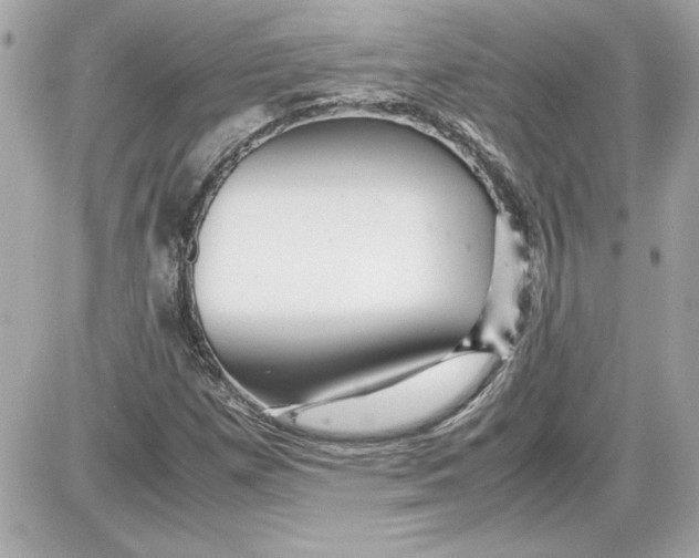 X0000087421257200705111907