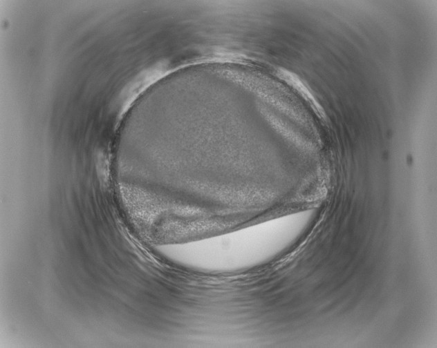 X0000087421260200705111907