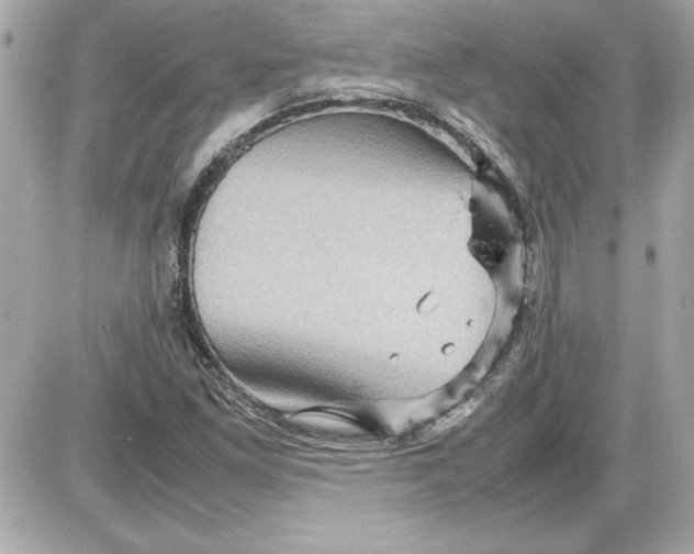 X0000087421261200705111907