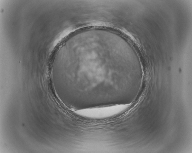 X0000087421263200705111907