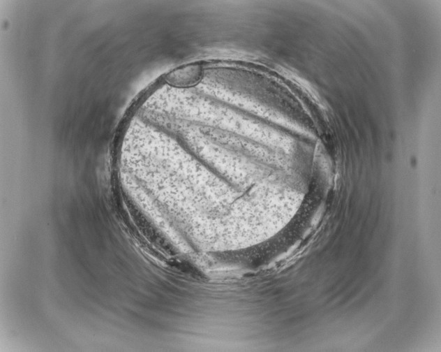 X0000087421264200705111907