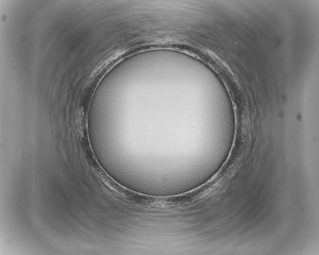 X0000087421265200705111907