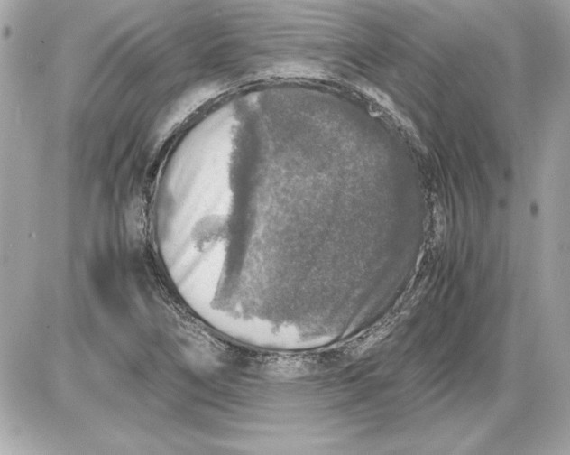 X0000087421266200705111907