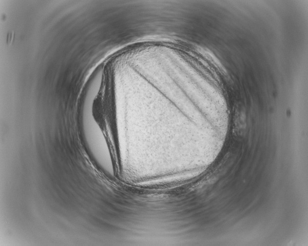X0000087421268200705111907