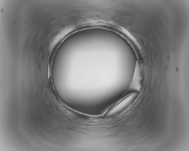 X0000087421269200705111907