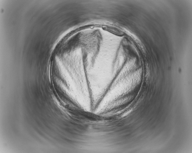 X0000087421272200705111907